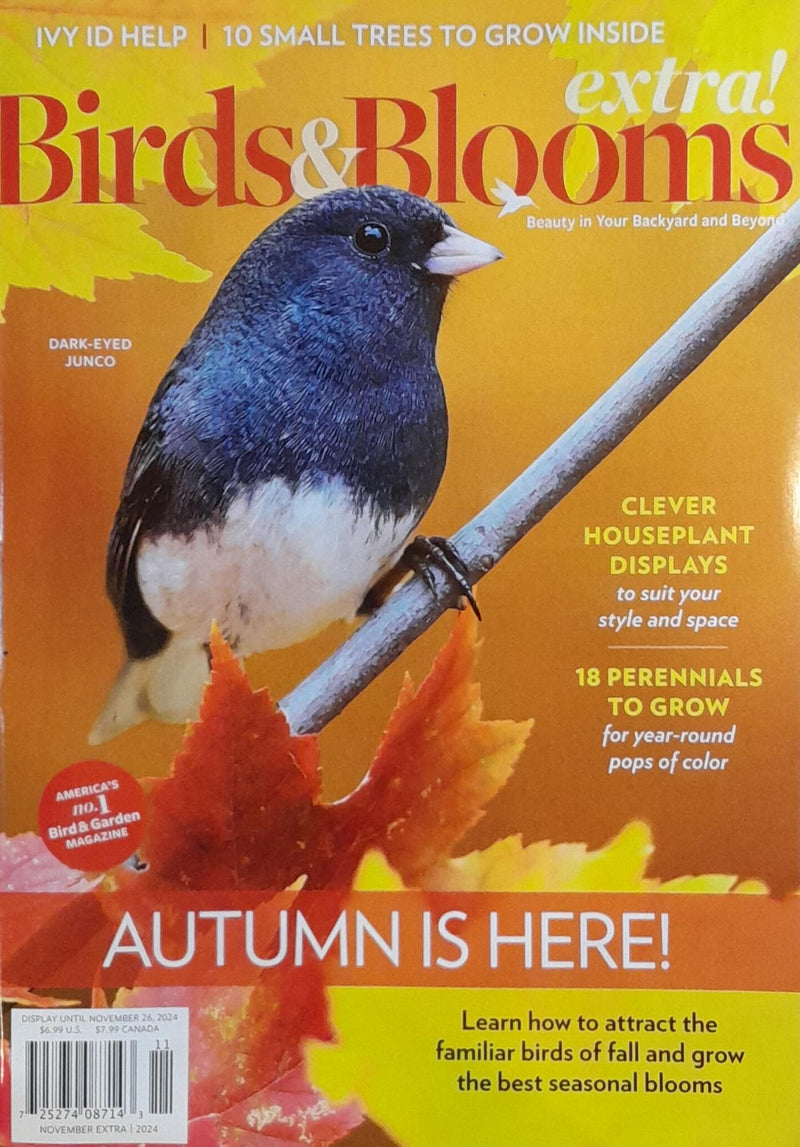 Birds & Blooms Extra Magazine