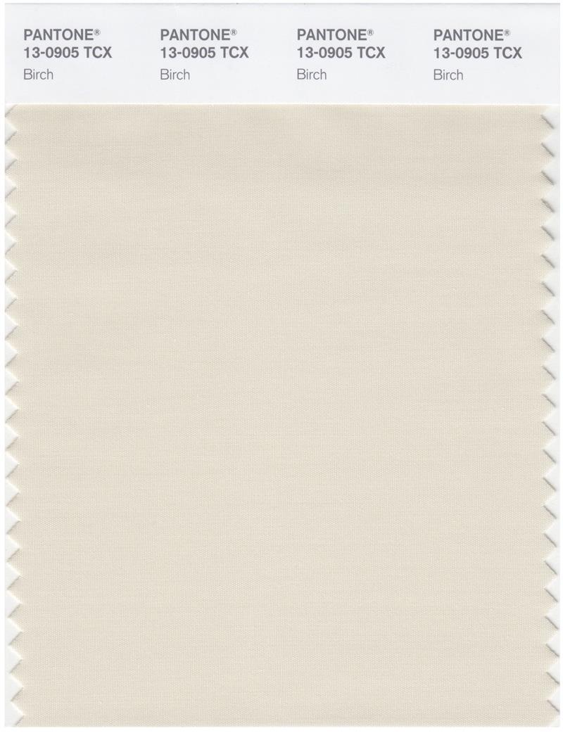 Pantone Smart 13-0905 TCX Color Swatch Card | Birch