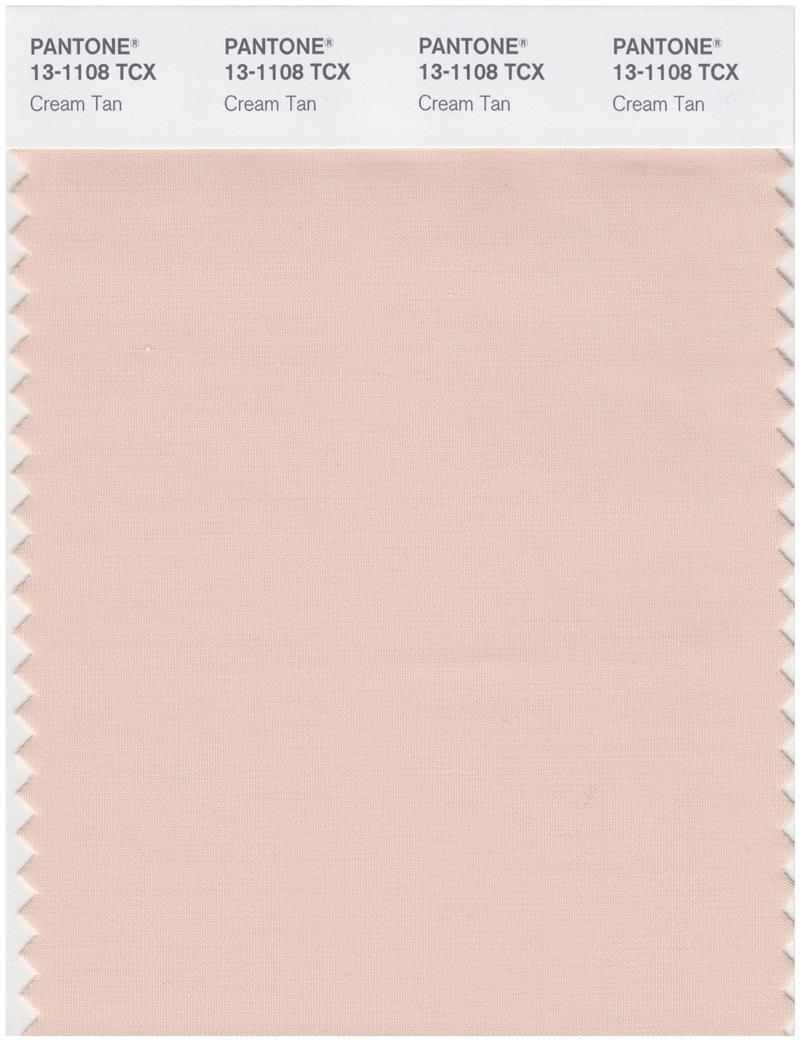 Beige Pantone Style Color Swatch Art Print for Sale by