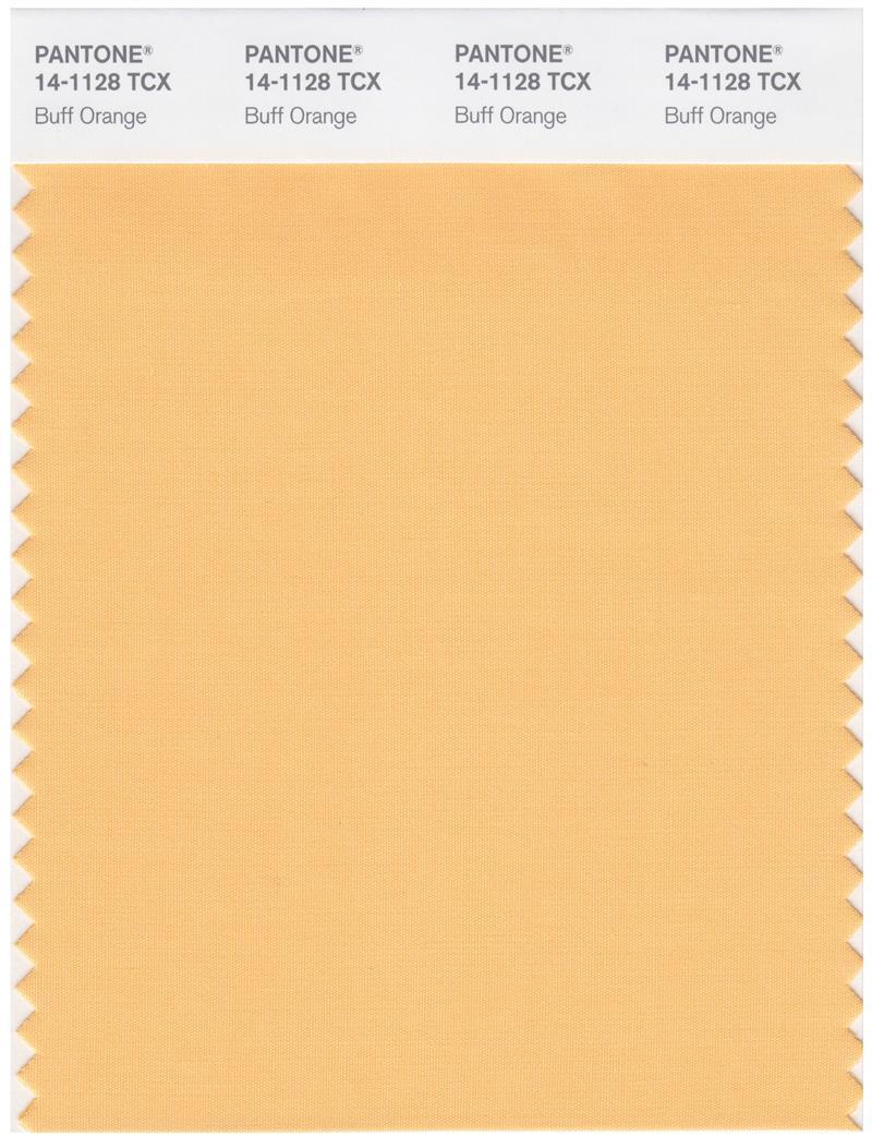 Pantone Smart 14-1128 TCX Color Swatch Card | Buff Orange