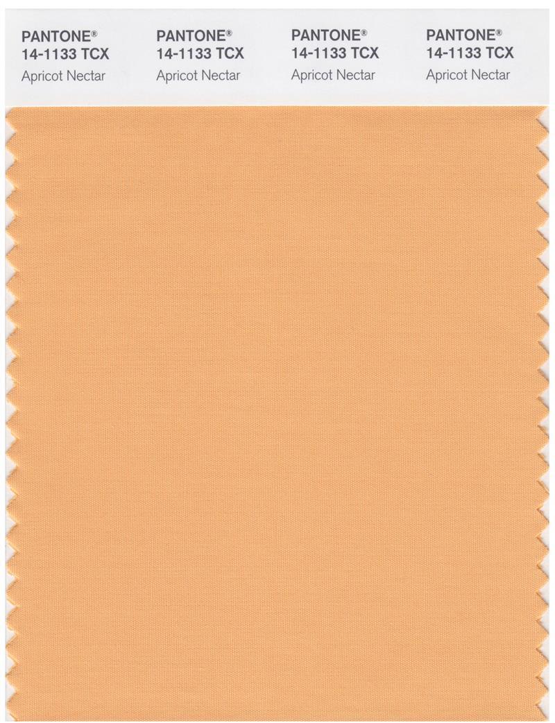 Almost apricot color - Pantone Color - Tapestry