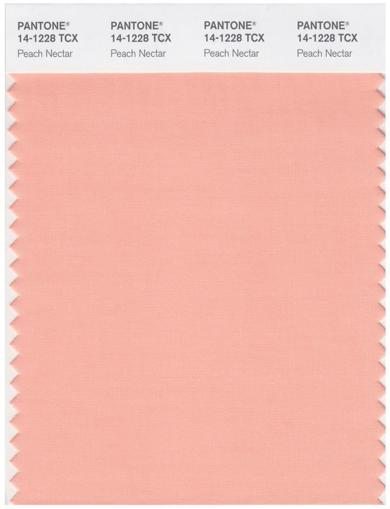 Pantone Smart 14-1228 TCX Color Swatch Card | Peach Nectar