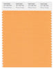 Pantone Smart 15-1160 TCX Color Swatch Card | Blazing Orange