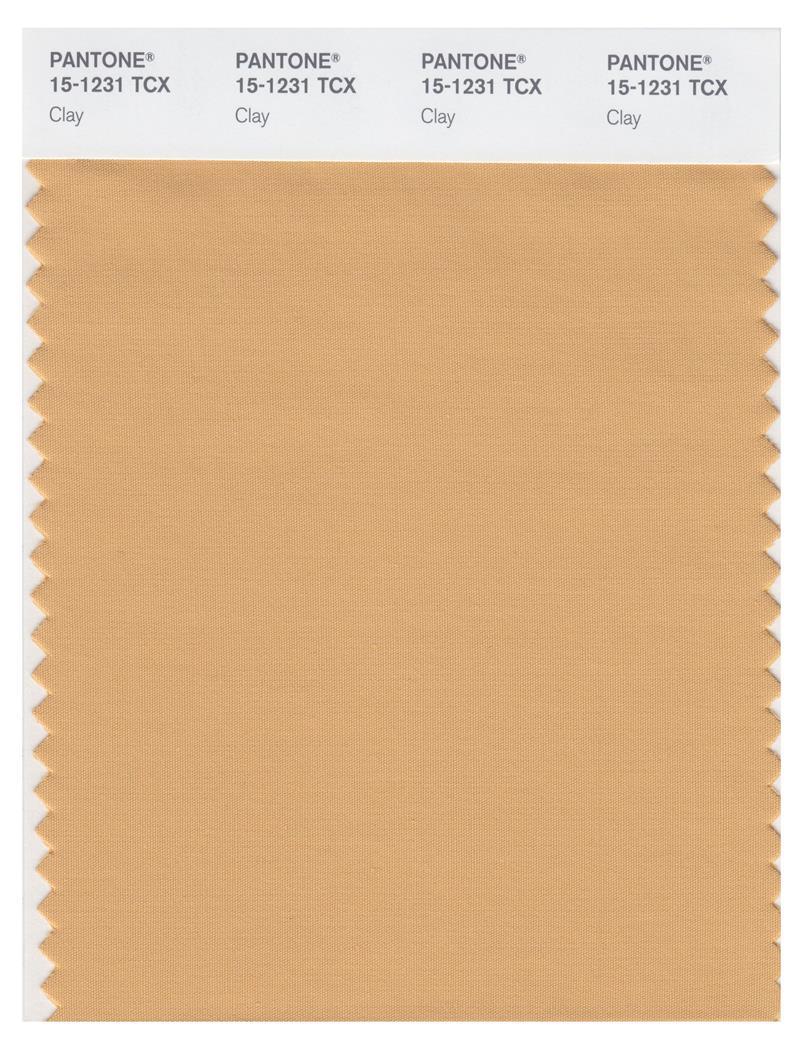 Pantone Smart 15-1231 TCX Color Swatch Card | Clay