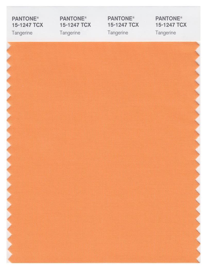 Pantone Smart 15-1247 TCX Color Swatch Card | Tangerine