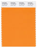 Pantone Smart 15-1263 TCX Color Swatch Card | Autumn Glory