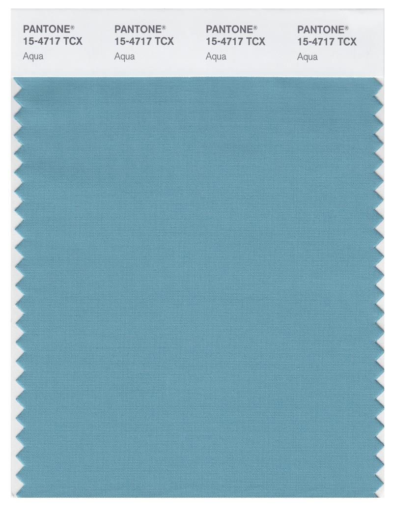 Pantone Smart 15-4717 TCX Color Swatch Card | Aqua