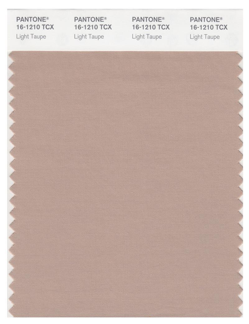 Pantone Smart 16-1210 TCX Color Swatch Card, Light Taupe