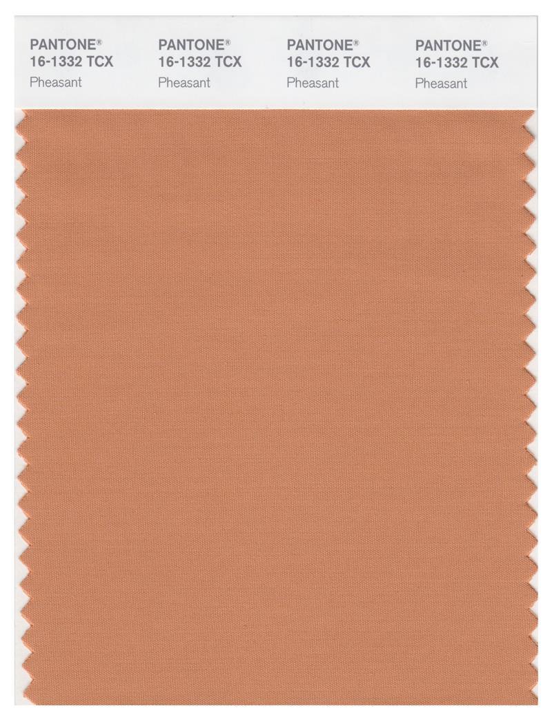 Pantone Smart 16-1332 TCX Color Swatch Card | Pheasant