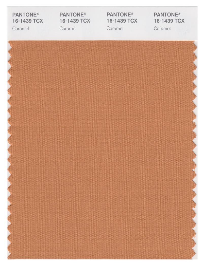 Pantone Smart 16-1439 TCX Color Swatch Card | Caramel