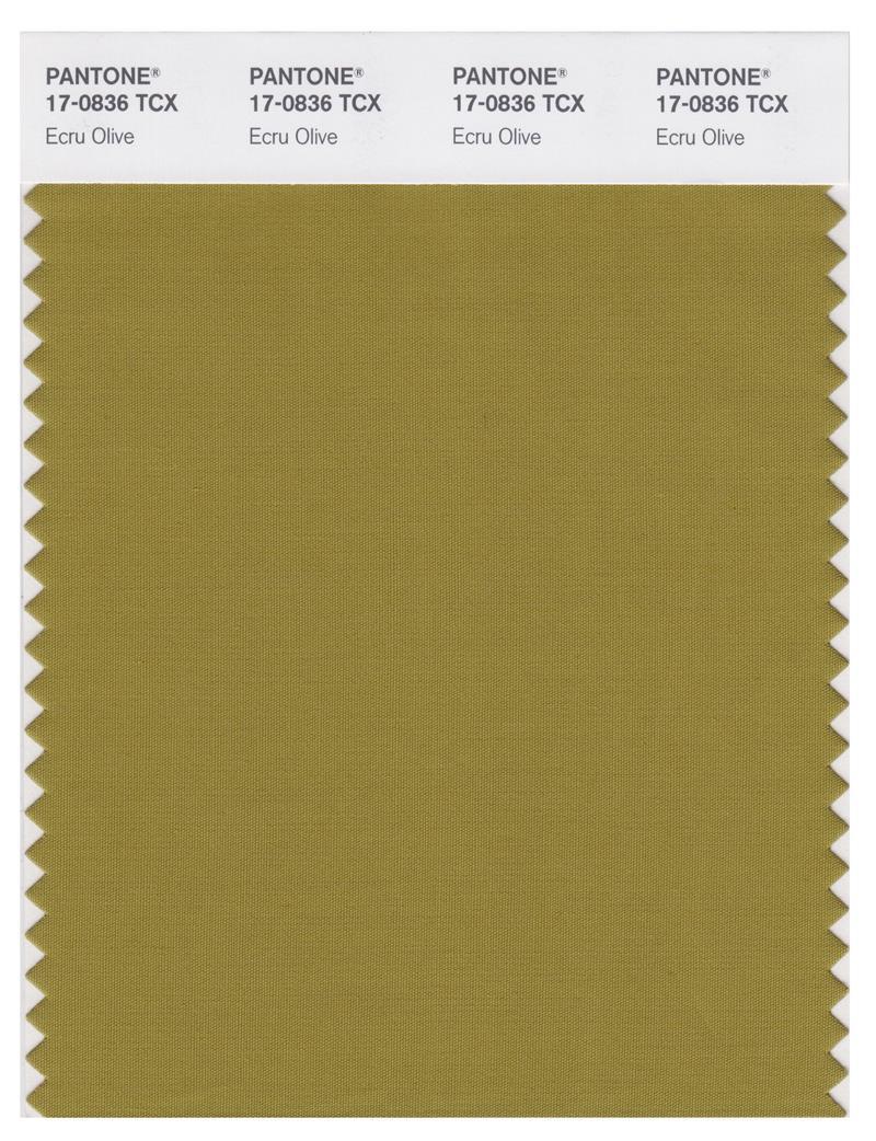 Pantone Smart 17-0836 TCX Color Swatch Card | Ecru Olive