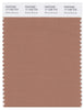 Pantone Smart 17-1230 TCX Color Swatch Card | Mocha Mousse