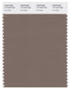 Pantone Smart 17-1410 TCX Color Swatch Card | Pine Bark