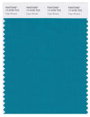 Pantone Smart 17-4735 TCX Color Swatch Card | Capri Breeze | Magazine ...