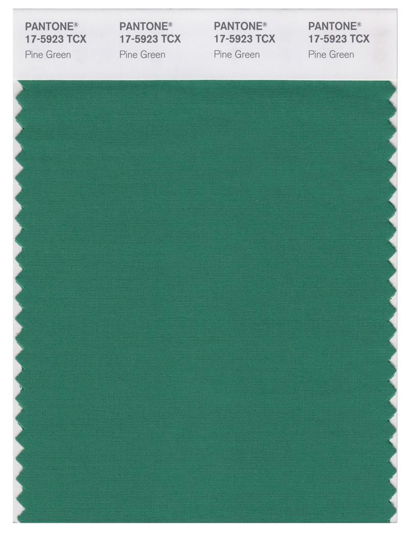 Pantone SMART Color Swatch Card 18-5913 TCX Garden Topiary