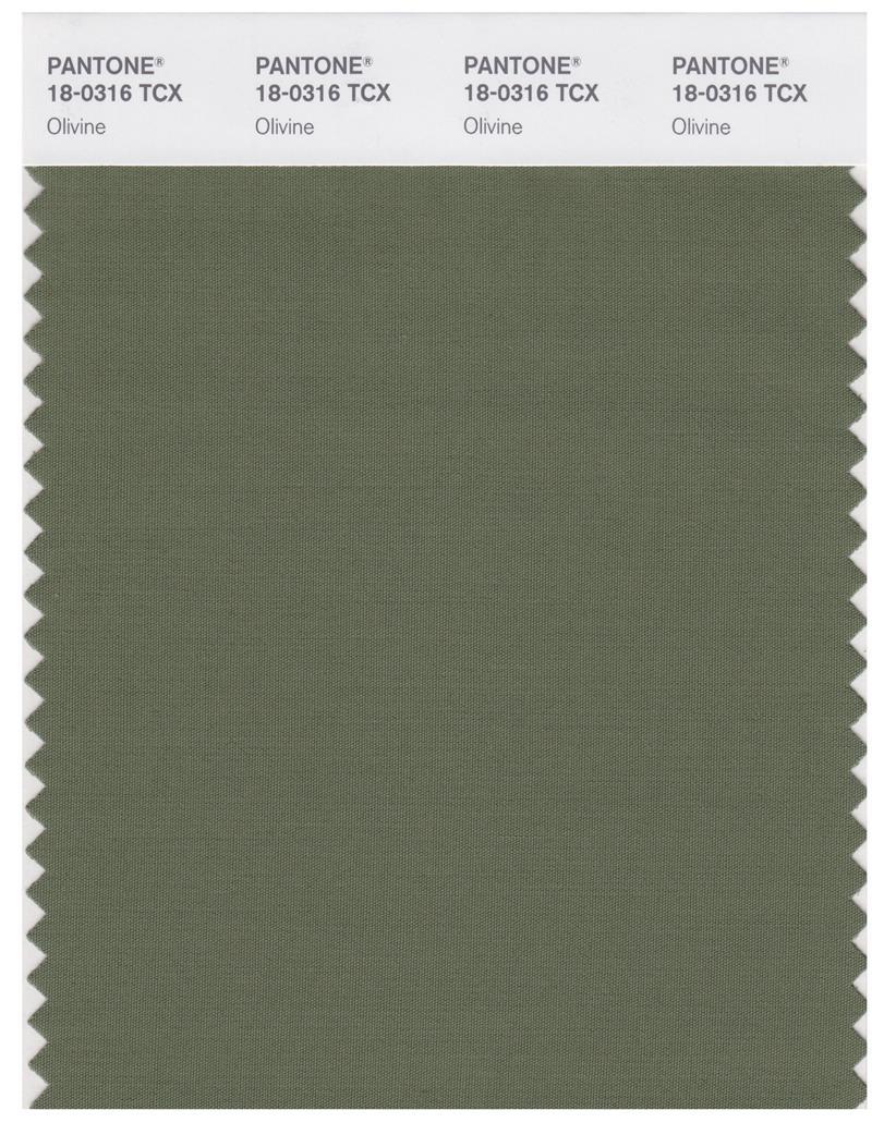 PANTONE SMART 18-0312 TCX Color Swatch Card, Deep Lichen Green, Polycolors, Buy Pantone Colour Swatch and Booklets