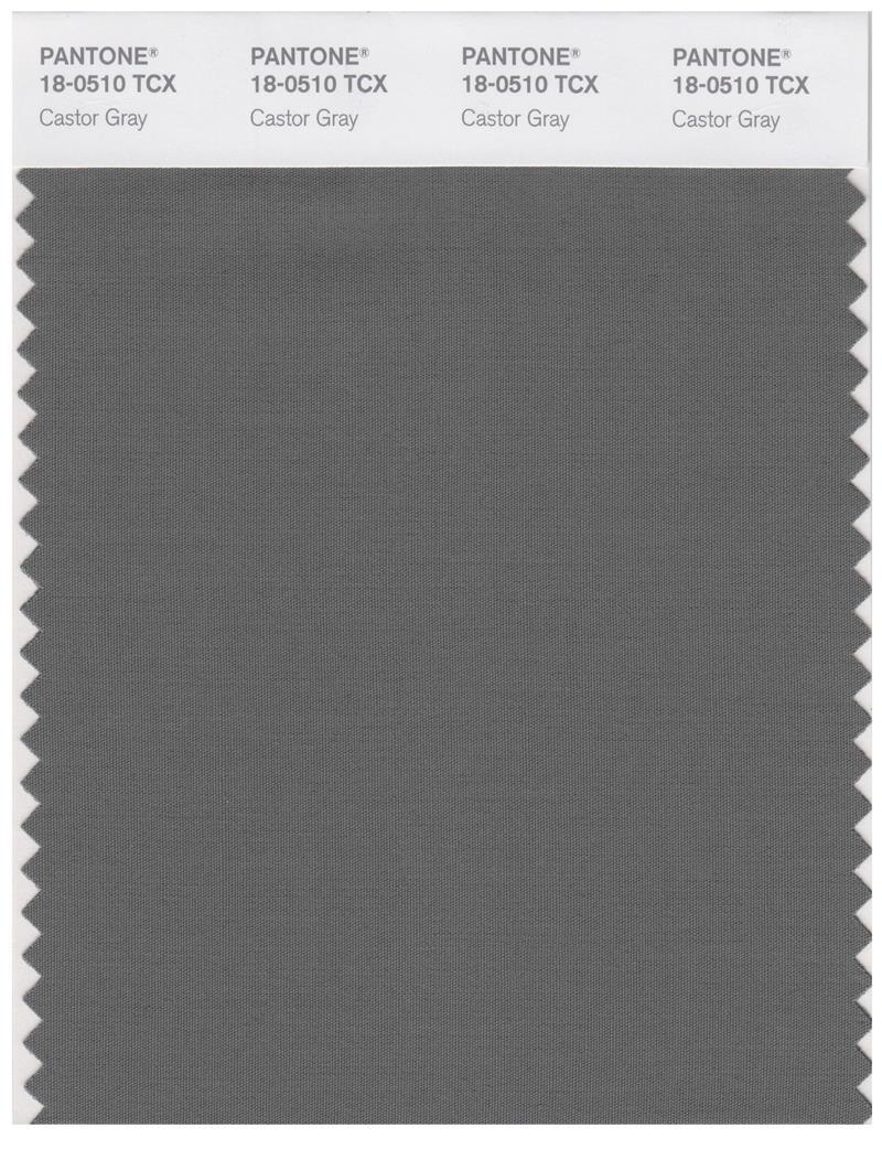 Pantone Smart 18-0510 TCX Color Swatch Card | Castor Gray