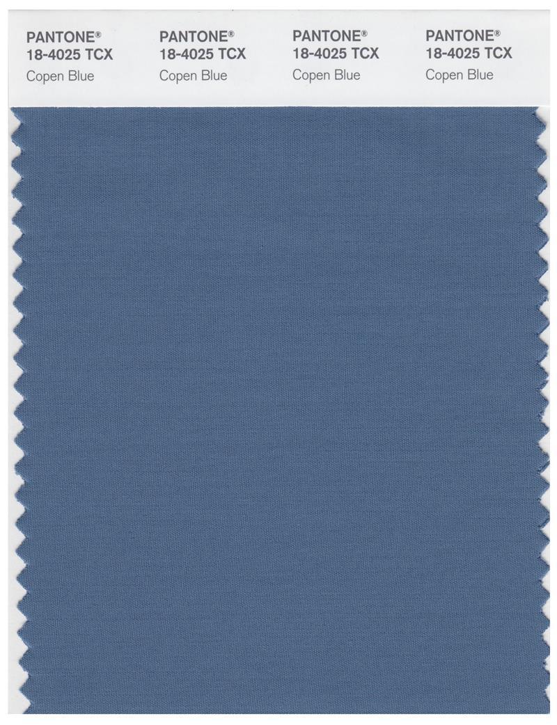 Pantone Smart 18-4025 TCX Color Swatch Card | Copen Blue