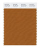 Pantone Smart 18-1163 TCX Color Swatch Card | Pumpkin Spice