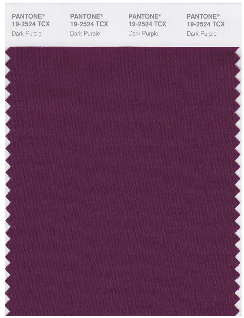 dark purple rectangle