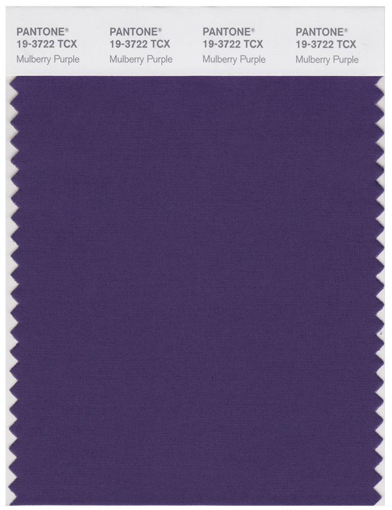 Pantone Smart 19-3722 TCX Color Swatch Card | Mulberry Purple