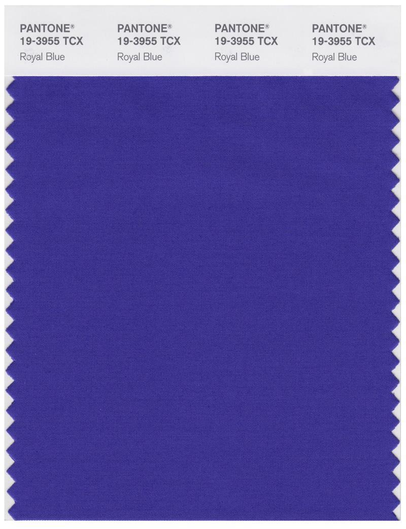 Pantone Smart 19-3955 TCX Color Swatch Card | Royal Blue