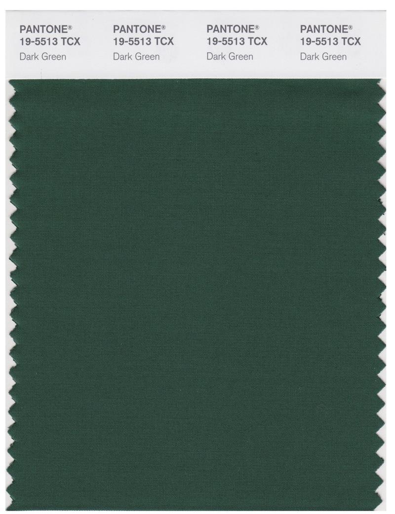 Pantone Smart 19-5513 TCX Color Swatch Card | Dark Green