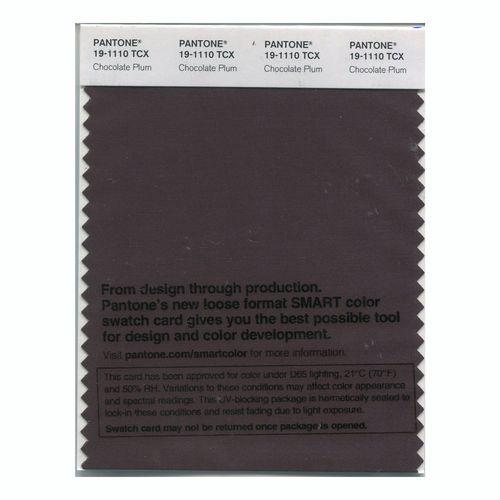 Pantone Smart 19-1110 TCX Color Swatch Card | Chocolate Plum