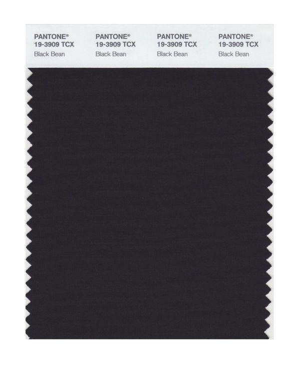 Pantone Smart 19-3909 TCX Color Swatch Card | Black Bean | Magazine ...