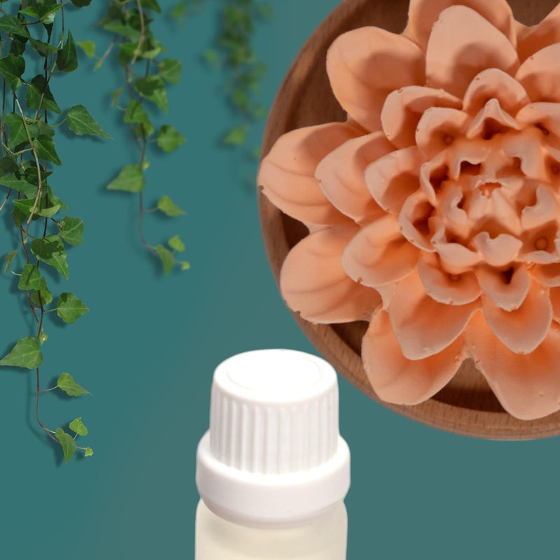 Aroma Diffuser Diatomite Peony Flower 10 ML